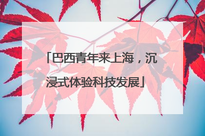 巴西青年来上海，沉浸式体验科技发展