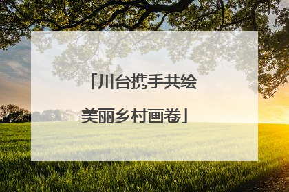 川台携手共绘美丽乡村画卷