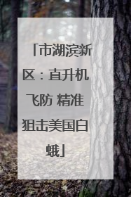 市湖滨新区：直升机飞防 精准狙击美国白蛾