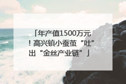 年产值1500万元！高兴镇小蚕茧“吐”出“金丝产业链”