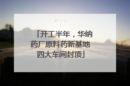 开工半年，华纳药厂原料药新基地四大车间封顶