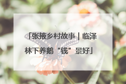 张掖乡村故事｜临泽林下养鹅“钱”景好