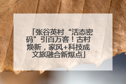 张谷英村“活态密码”引百万客！古村焕新，家风+科技成文旅融合新爆点