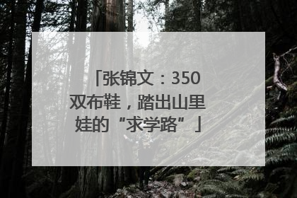 张锦文：350双布鞋，踏出山里娃的“求学路”