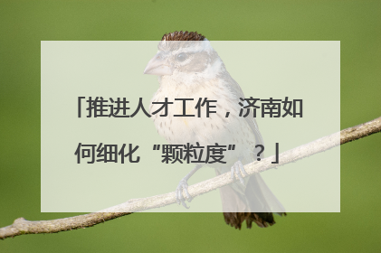 推进人才工作，济南如何细化“颗粒度”？