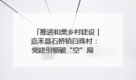 推进和美乡村建设｜嘉禾县石桥镇白珠村：党建引领破“空”局 乡贤聚力绘就新图景