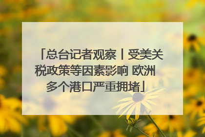 总台记者观察丨受美关税政策等因素影响 欧洲多个港口严重拥堵