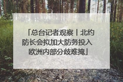 总台记者观察丨北约防长会拟加大防务投入 欧洲内部分歧难掩