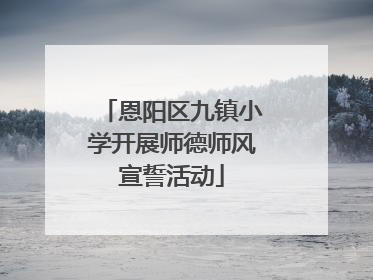 恩阳区九镇小学开展师德师风宣誓活动
