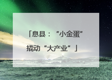 息县：“小金蛋”撬动“大产业”