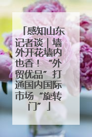 感知山东记者谈｜墙外开花墙内也香！“外贸优品”打通国内国际市场“旋转门”