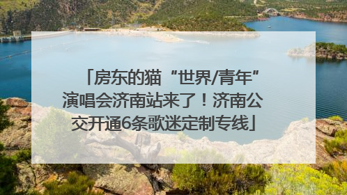 房东的猫“世界/青年”演唱会济南站来了！济南公交开通6条歌迷定制专线