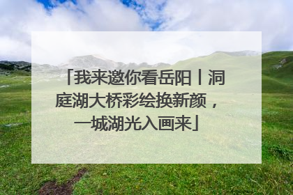 我来邀你看岳阳丨洞庭湖大桥彩绘换新颜，一城湖光入画来