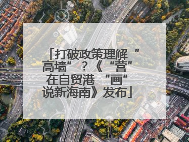 打破政策理解“高墙”？《“营”在自贸港 “画”说新海南》发布