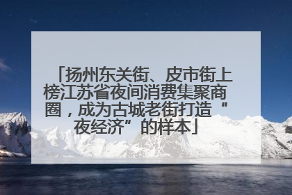 扬州东关街、皮市街上榜江苏省夜间消费集聚商圈，成为古城老街打造“夜经济”的样本