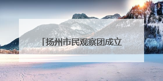 扬州市民观察团成立20周年，198人团队用脚步丈量文明 让城市更有温度