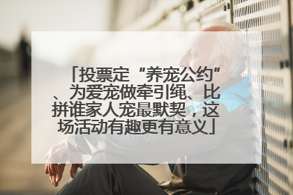 投票定“养宠公约”、为爱宠做牵引绳、比拼谁家人宠最默契，这场活动有趣更有意义