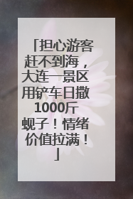 担心游客赶不到海，大连一景区用铲车日撒1000斤蚬子！情绪价值拉满！