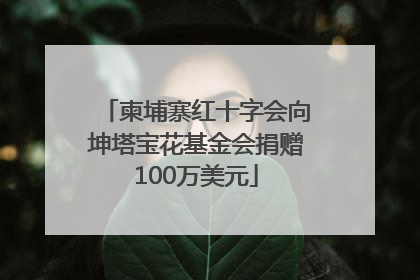 柬埔寨红十字会向坤塔宝花基金会捐赠100万美元