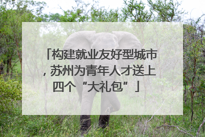 构建就业友好型城市，苏州为青年人才送上四个“大礼包”