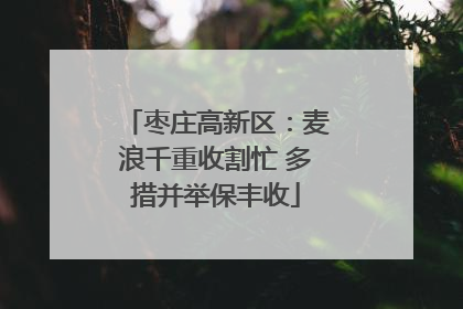 枣庄高新区：麦浪千重收割忙 多措并举保丰收