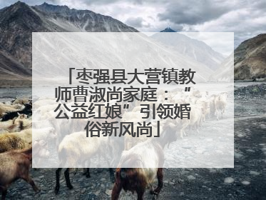 枣强县大营镇教师曹淑尚家庭：“公益红娘”引领婚俗新风尚
