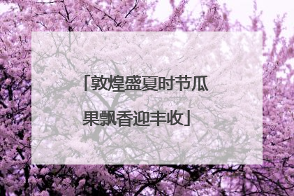 敦煌盛夏时节瓜果飘香迎丰收