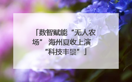 数智赋能“无人农场” 海州夏收上演“科技丰景”