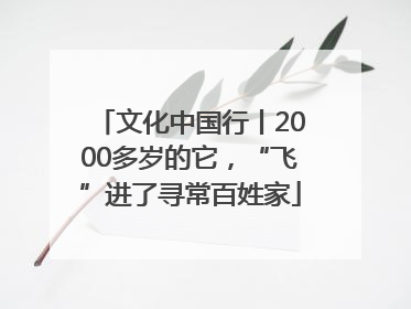 文化中国行丨2000多岁的它，“飞”进了寻常百姓家