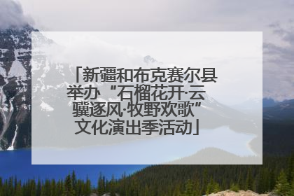 新疆和布克赛尔县举办“石榴花开·云骥逐风·牧野欢歌”文化演出季活动