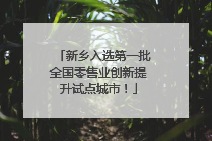 新乡入选第一批全国零售业创新提升试点城市！