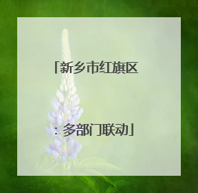 新乡市红旗区：多部门联动