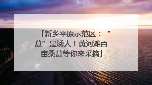 新乡平原示范区：“葚”是诱人！黄河滩百亩桑葚等你来采摘