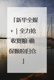 新华全媒+｜全力抢收夏粮 确保颗粒归仓