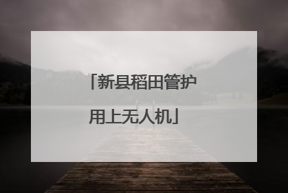 新县稻田管护用上无人机