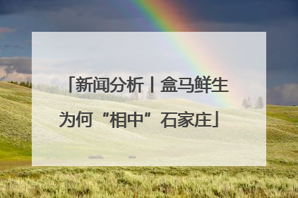 新闻分析丨盒马鲜生为何“相中”石家庄