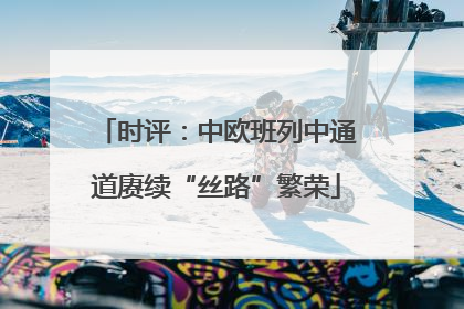 时评：中欧班列中通道赓续“丝路”繁荣