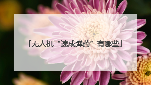无人机“速成弹药”有哪些