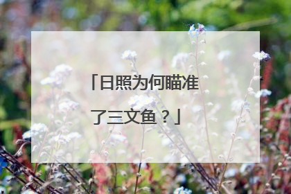 日照为何瞄准了三文鱼？