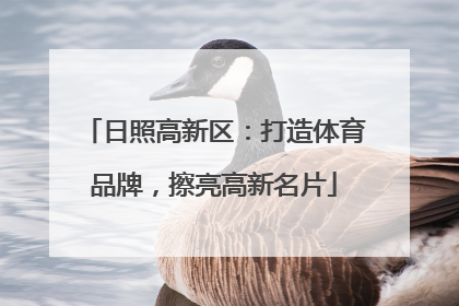 日照高新区：打造体育品牌，擦亮高新名片