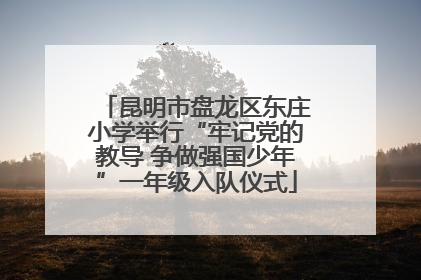 昆明市盘龙区东庄小学举行“牢记党的教导 争做强国少年”一年级入队仪式