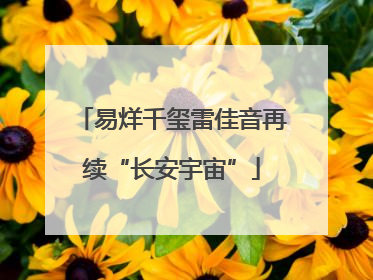 易烊千玺雷佳音再续“长安宇宙”