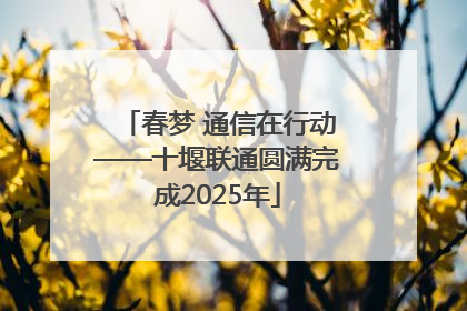 春梦 通信在行动——十堰联通圆满完成2025年