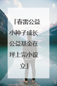 春雷公益小种子成长公益基金在坪上完小设立
