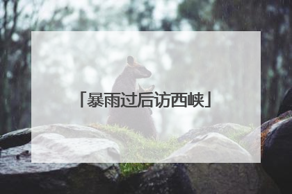 暴雨过后访西峡