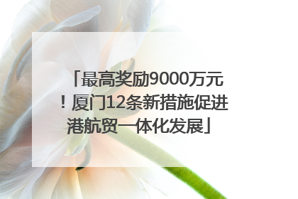 最高奖励9000万元！厦门12条新措施促进港航贸一体化发展
