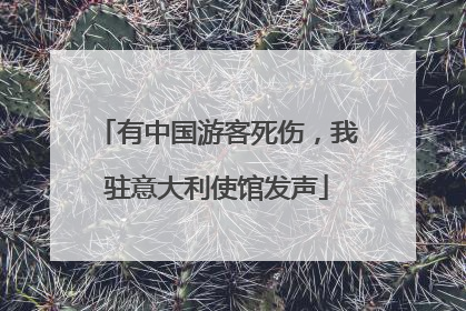 有中国游客死伤，我驻意大利使馆发声