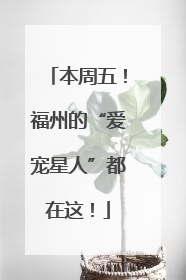 本周五！福州的“爱宠星人”都在这！