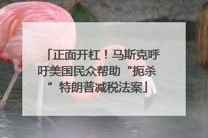 正面开杠！马斯克呼吁美国民众帮助“扼杀”特朗普减税法案