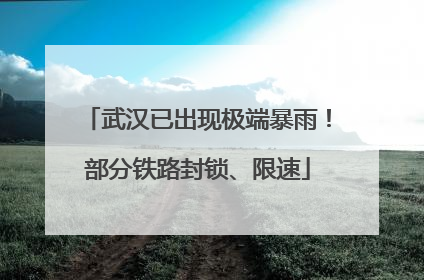 武汉已出现极端暴雨！部分铁路封锁、限速